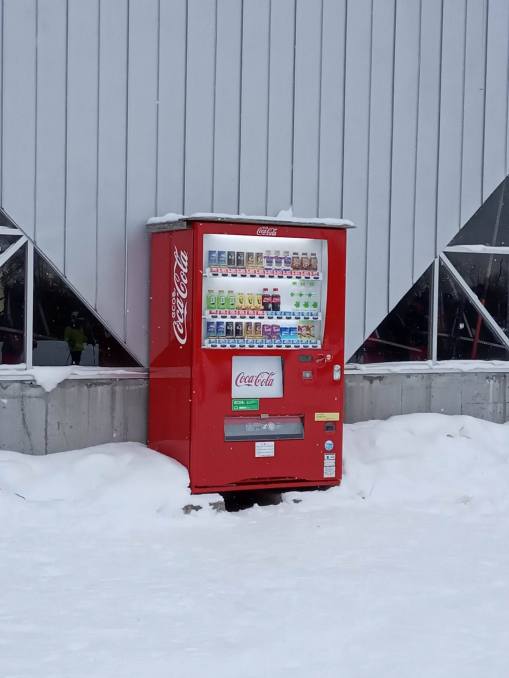 80431816_1011824825866614_1383903484281094144_n