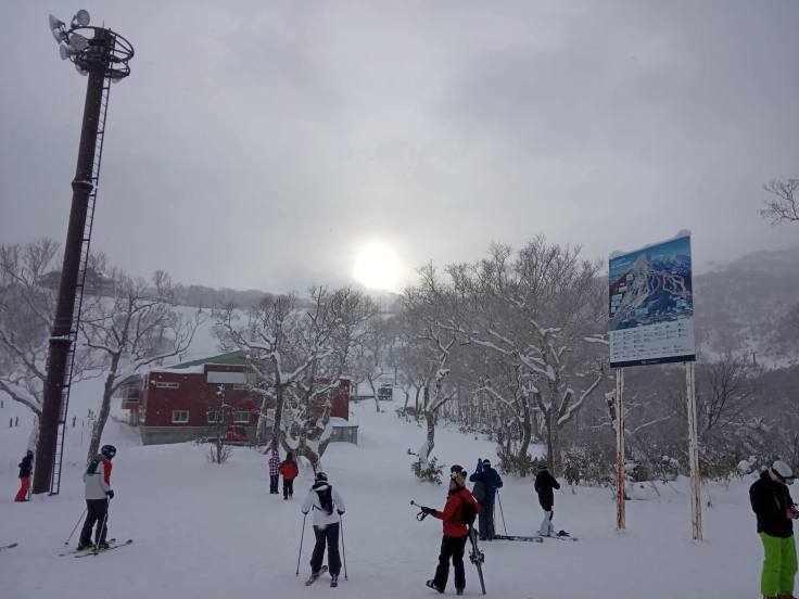 80662021_480997159215471_2880873812285456384_n