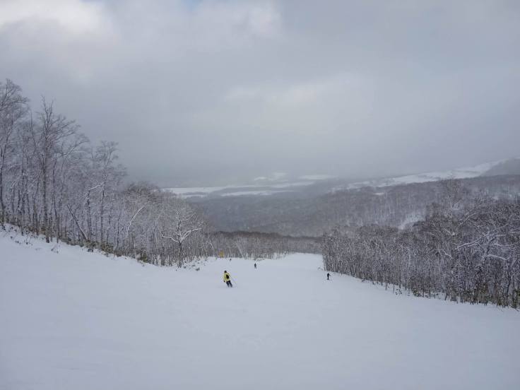 81277394_538145443440218_8194203091394887680_n