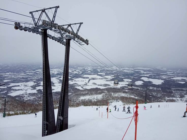 82037116_2442038656047428_6182528985059033088_n