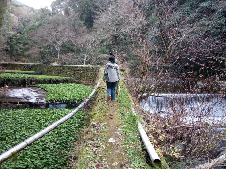 82360277_2454656324849756_3223681673602269184_n