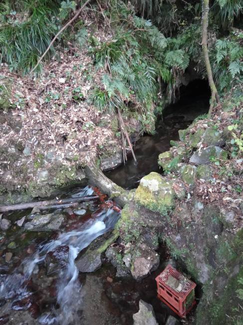 82419452_779620005873312_6452736351291834368_n