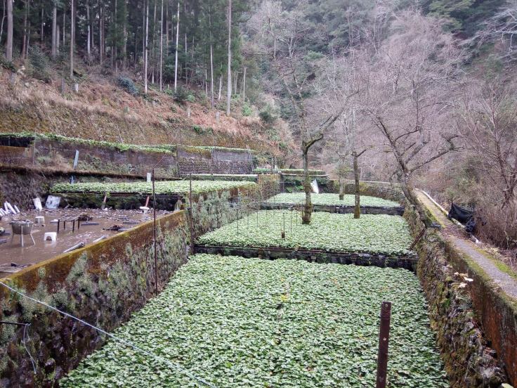 82875869_1599260073562696_8802461067138564096_n